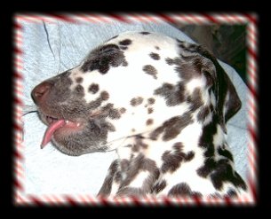 Schnorchel...wo ist das R�hrchen.....Brown Sugar of Wolfcubs