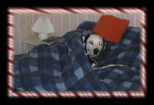 Ach ist das nicht herrlich so ein Bett f�r sich alleine....Asuh vom Teutoburger Wald ....DK 2005