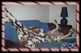Das ganze Sofa ist mir...Aramis Dezember 05