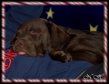 V�llig gel�st abchillen....Lucy 18.01.07