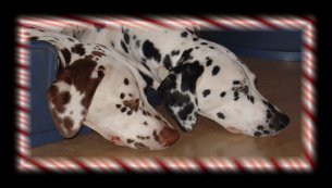 Latoya & Heavens Hope.....wenn die Tochter mit der Mutter schlaeft...